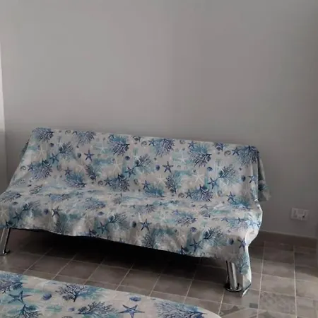 Il Delfino *